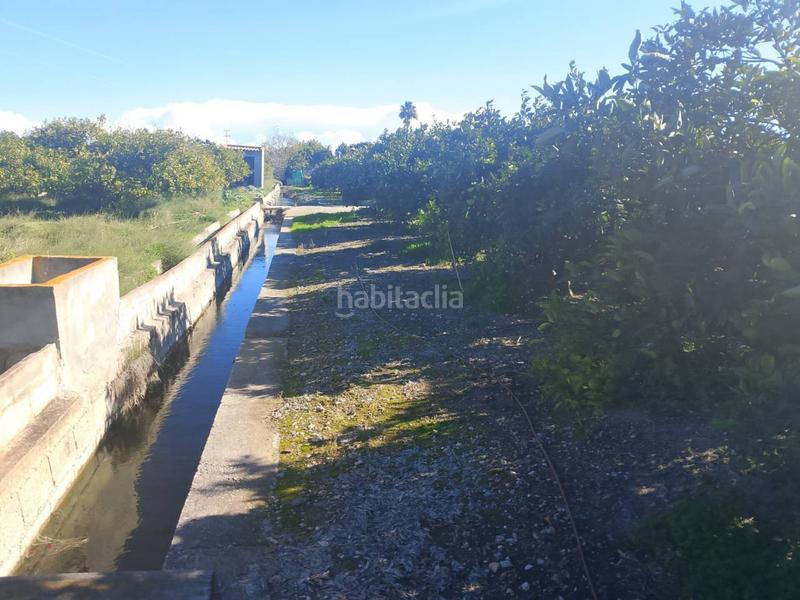 Foto 740785c1-e2fd-4ca2-808e-dab74396b572. Landgut in Oliva pueblo Oliva