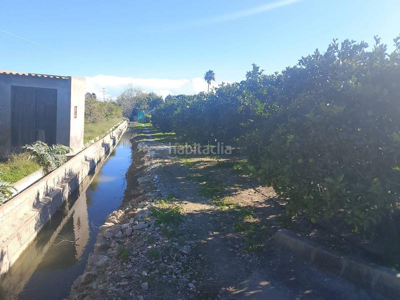 Foto ae1958d5-eaef-4c86-9322-215acb79c52d. Landgut in Oliva pueblo Oliva