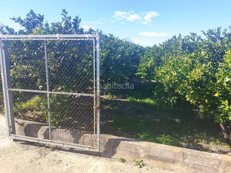 Foto b80ce285-3e32-4c63-8802-cee90ef724ee. Landgut in Oliva pueblo Oliva