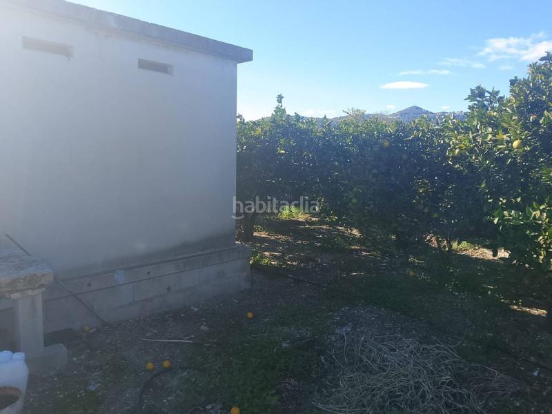 Foto c5668d9f-cc9c-40f7-a37b-33bcb493e31c. Landgut in Oliva pueblo Oliva