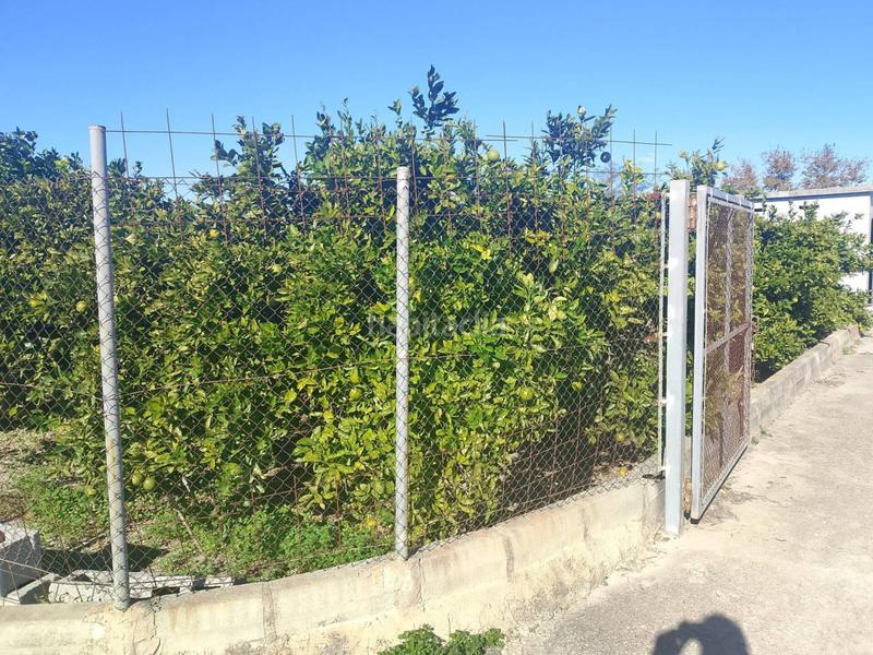 Foto d5e6e9a1-1fd6-4d36-8754-6ed276b30d2a. Landgut in Oliva pueblo Oliva