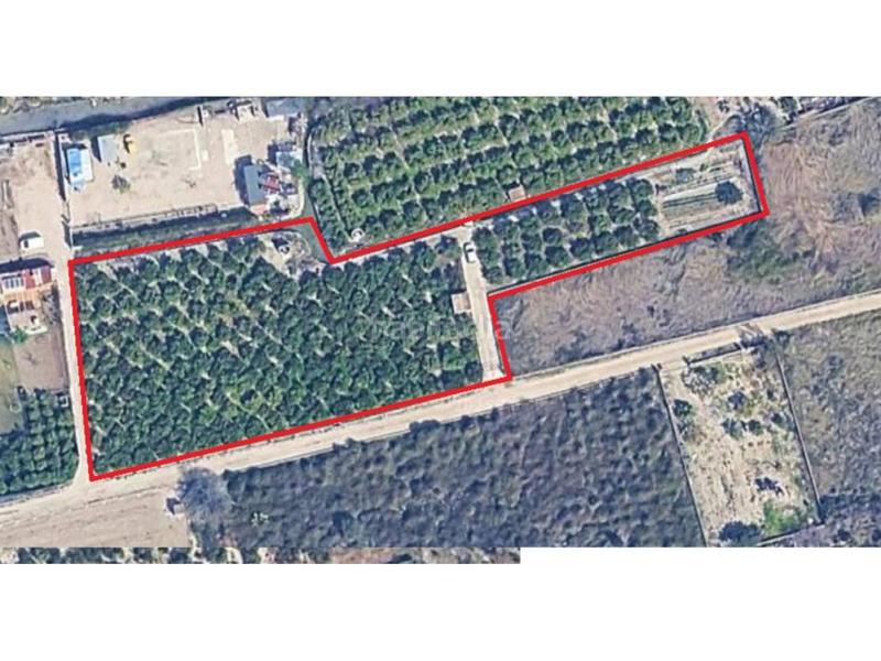 Foto d7061359-932b-47b2-b7f0-70d5baca59d7. Landgut in Oliva pueblo Oliva