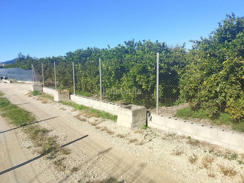 Foto fa5a7974-8cd9-4229-9543-bd300ac36a3e. Landgut in Oliva pueblo Oliva