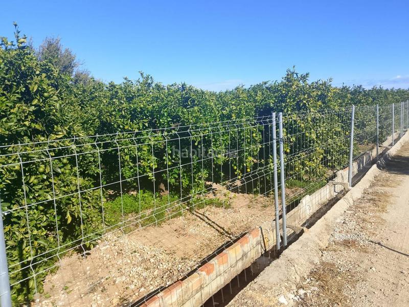 Foto 0ec07fe1-0002-4a98-aa22-491efea78424. Landgut in Oliva pueblo Oliva