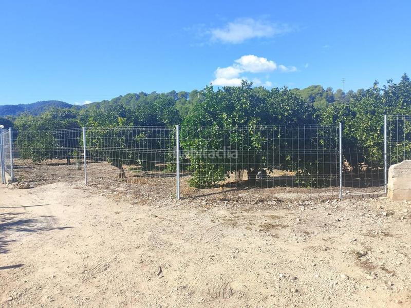 Foto 47787a29-6239-4f44-a4e2-7c07aaf99a56. Landgut in Oliva pueblo Oliva