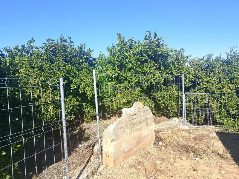 Foto 59b203d0-5f10-4814-8be1-ad5443e5a1c2. Landgut in Oliva pueblo Oliva