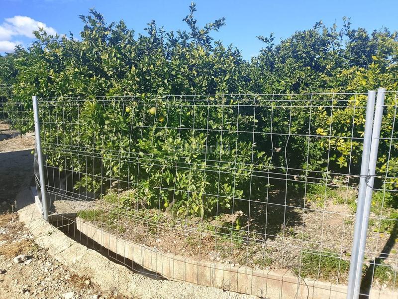 Foto 678a7616-7d72-4e46-8e2f-0eec08b49154. Landgut in Oliva pueblo Oliva