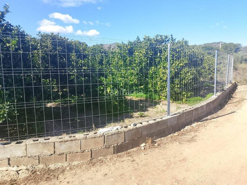 Foto 7d6e963c-fb31-4295-9843-57678d8a797e. Landgut in Oliva pueblo Oliva