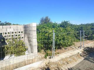 Finca rústica  Ramblar. Terreno rústico con naranjos y camino privado  zona sur de oliva