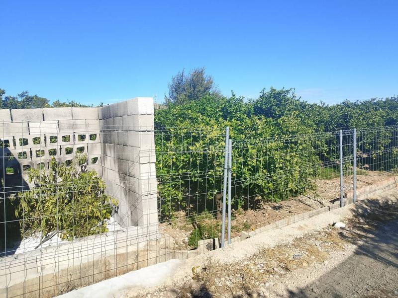 Foto 8fb57126-3f93-4d11-8d70-e139696e3718. Landgut in Oliva pueblo Oliva