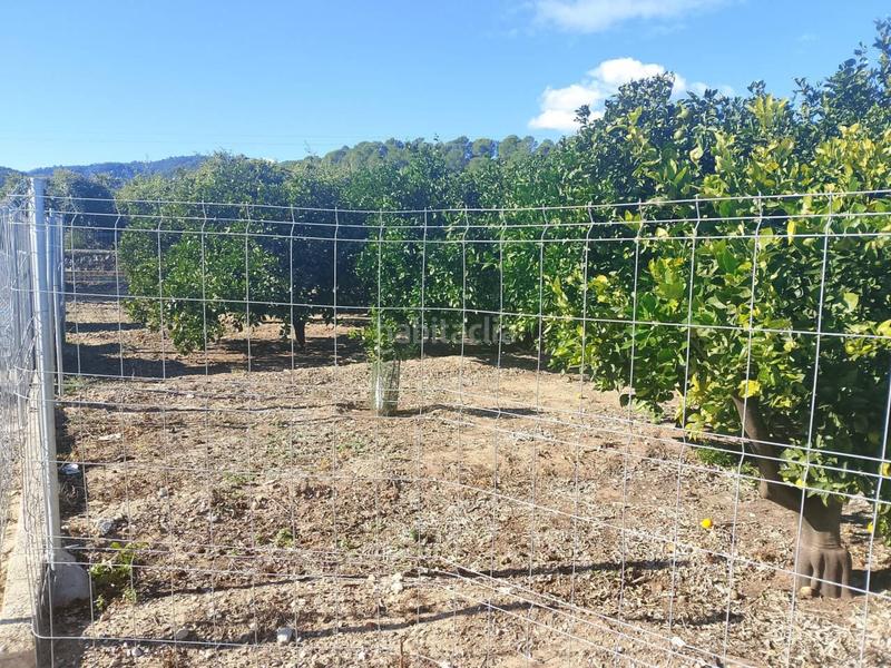 Foto a2969141-6bad-438c-ab17-54e3d1d2029d. Landgut in Oliva pueblo Oliva