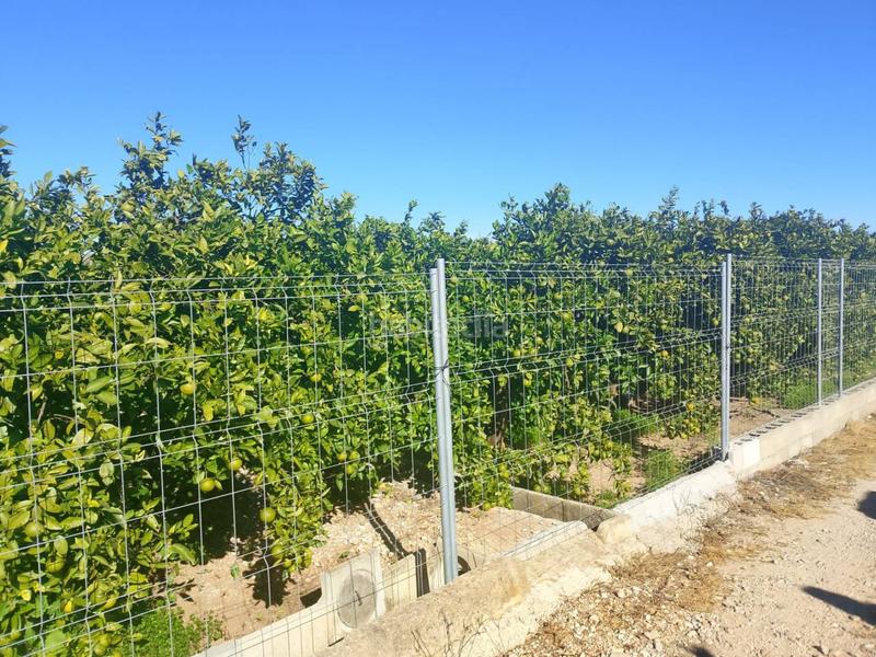 Foto b03fe557-2dd5-41a8-90c9-fc0f8f20e8a6. Landgut in Oliva pueblo Oliva