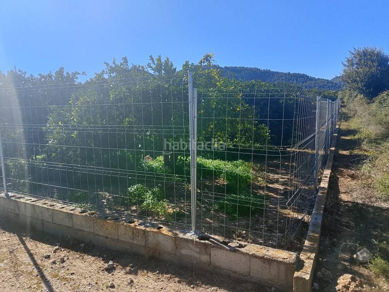 Foto b879f3da-13ae-4e7b-9617-275c21752977. Landgut in Oliva pueblo Oliva