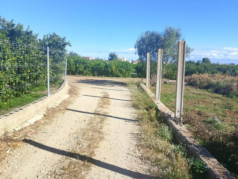 Foto f0e1fc7e-e70d-4447-ab7b-b39f4009b1f2. Landgut in Oliva pueblo Oliva