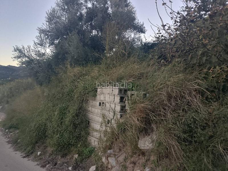 Foto 13a5136e-88a1-4421-bf98-3e5d51d11e53. Finca rústica a camino vernissa 1 a Beniarjó