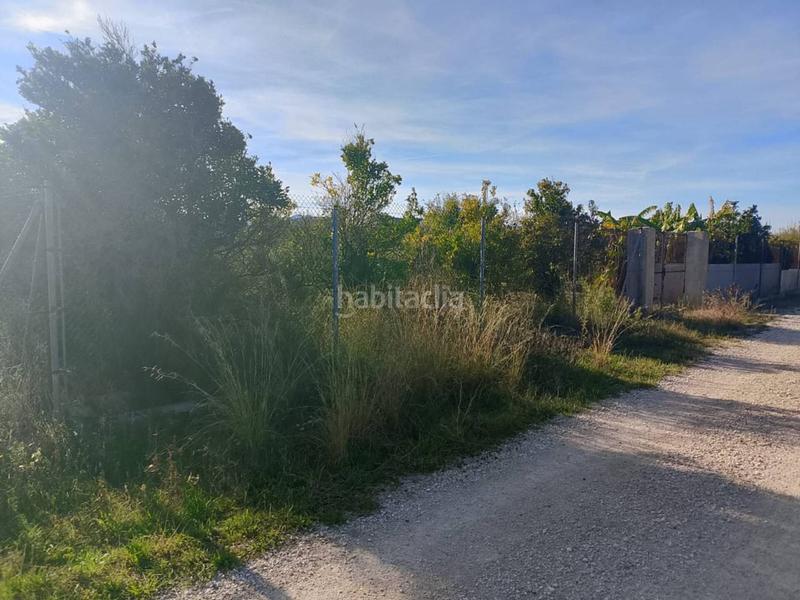 Foto 00538b06-f50b-4d64-891b-46d15eb143c8. Propriété dans Oliva nova Oliva