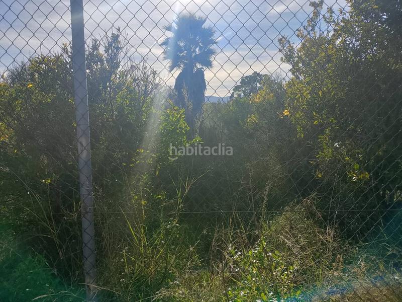 Foto 2e6169c6-fa7b-4d83-a0e4-9e0e70ce5fae. Propriété dans Oliva nova Oliva