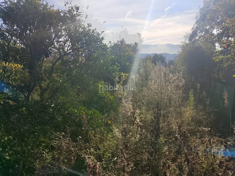 Foto 48d5f957-3610-43cb-a506-767cfc9f44b3. Propriété dans Oliva nova Oliva