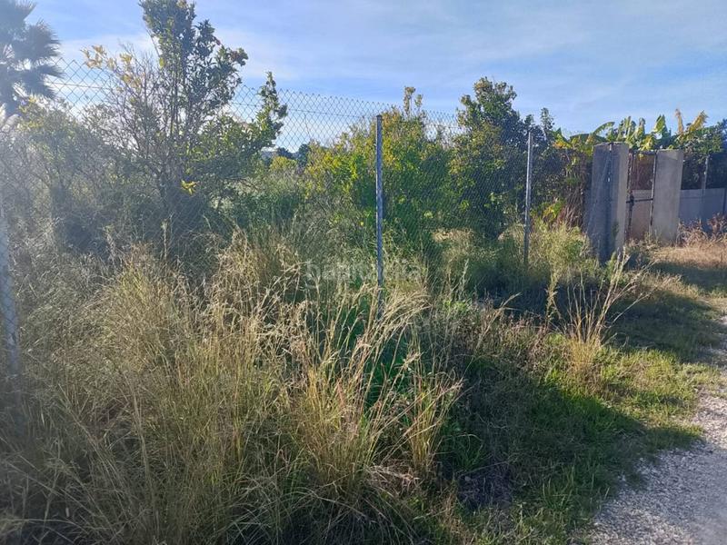 Foto 86e3d899-ab19-4f55-a539-76715d6dbb6a. Propriété dans Oliva nova Oliva