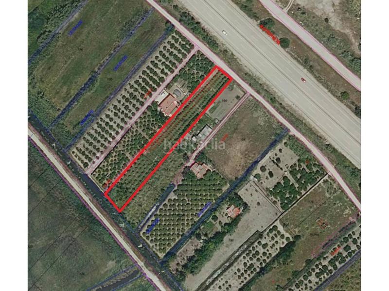 Foto d276b0a1-309c-41ac-a0c3-b2eba77eb682. Propriété dans Oliva nova Oliva