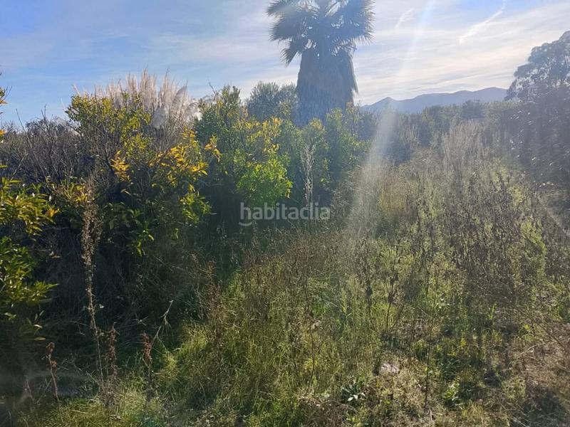 Foto d82546fe-cee4-4817-94f2-39dbd6b9eade. Propriété dans Oliva nova Oliva