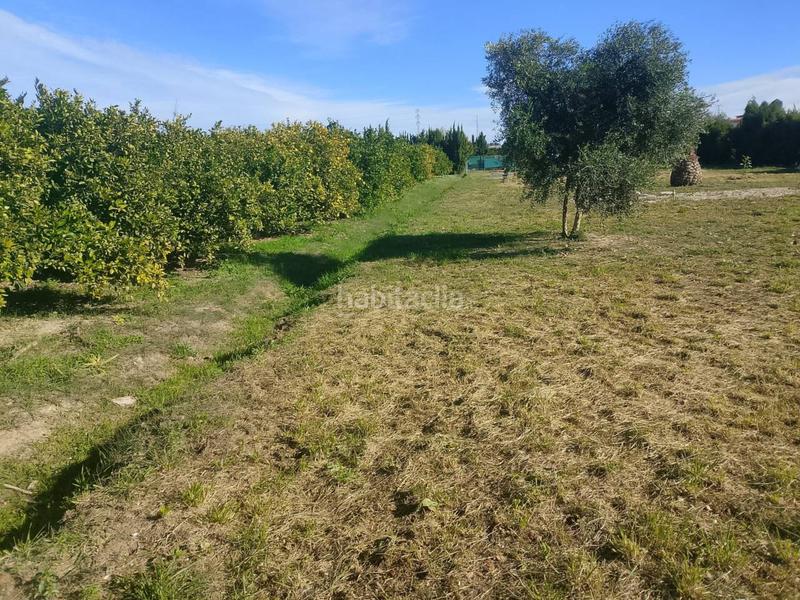 Foto b80cb588-f08c-4567-b86a-e2b830cdab44. Landgut in gorgs 15 in Oliva playa Oliva