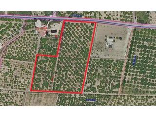 Fondo rustico  Calle pas de xátiva 1. Terreno de 7 hanegadas muy cerca de benifla con naranjos y manda