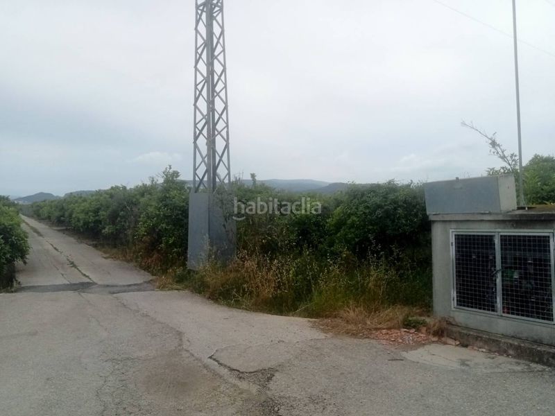 Foto 3a762e58-dcd9-4340-a729-79b5b7b3c5a8. Finca rústica a Bellreguard
