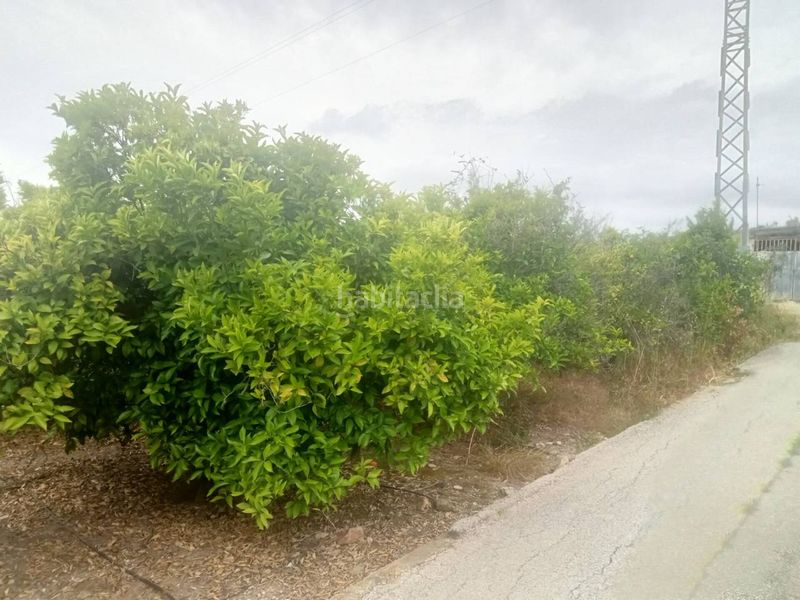 Foto cfea3532-345c-4c21-8992-009c4664fe29. Finca rústica a Bellreguard