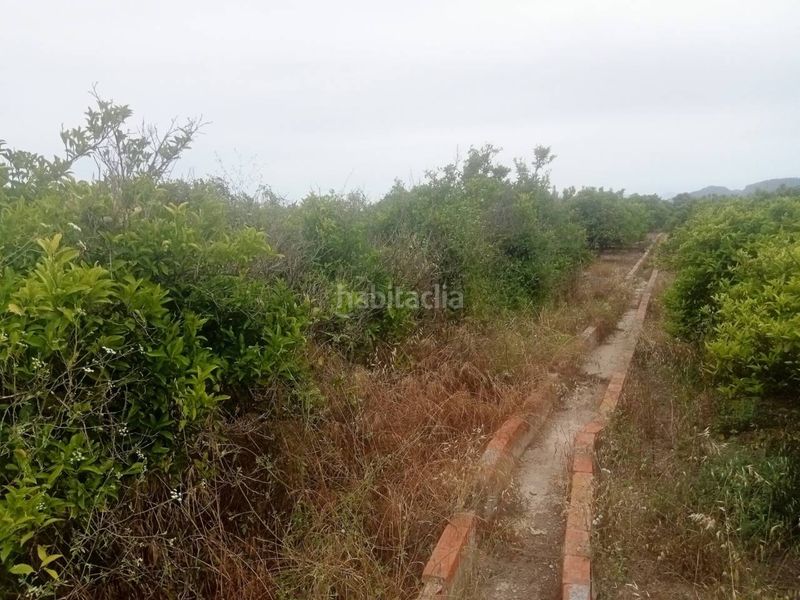 Foto d18ebdb0-66ea-4d01-bfca-0753a9ba0f82. Finca rústica a Bellreguard