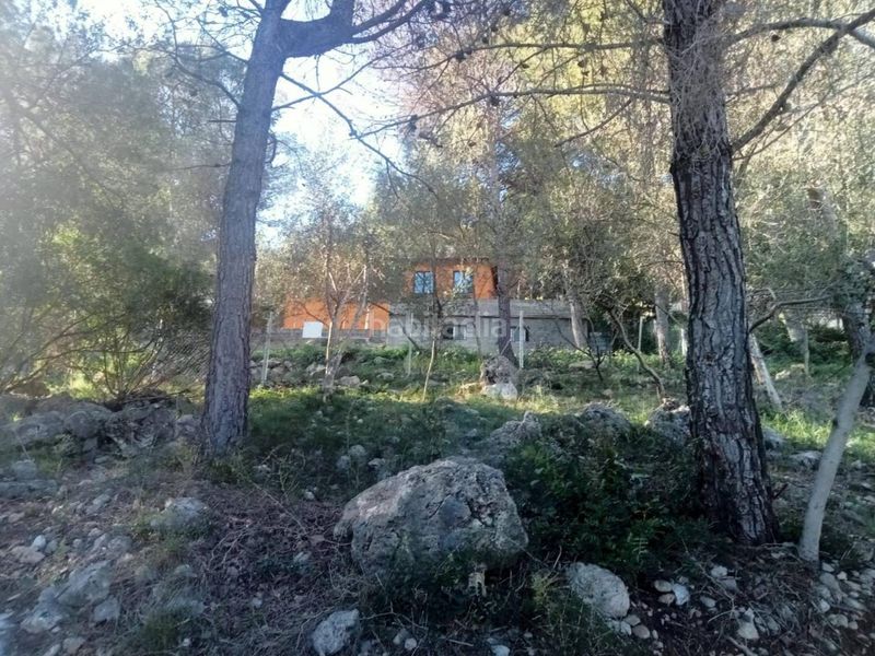 Foto bbde9138-0778-4350-8ce4-65e00f5e18fa. Finca rústica a calle salvia 23 a Urbanizaciones Gandia