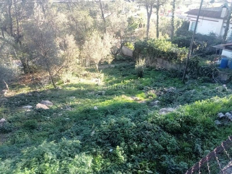 Foto d8913e36-2d17-48fe-965e-488d5b839bb4. Finca rústica a calle salvia 23 a Urbanizaciones Gandia