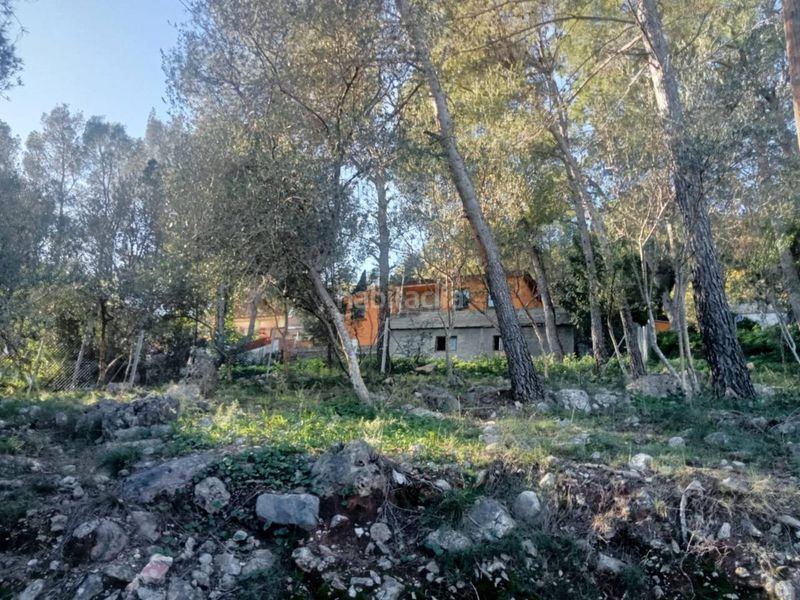 Foto f670dad5-770a-4d4b-8e71-b0a6cd6f48d1. Finca rústica a calle salvia 23 a Urbanizaciones Gandia