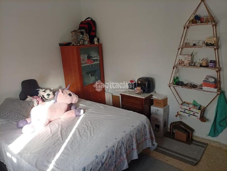 Foto 021be255-465e-4683-8572-f6b5de38b43f. Pis a San Pablo Sevilla