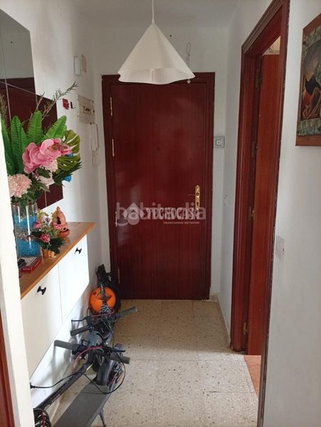 Foto 07913306-3368-4c0b-88ba-b58c7309cb0a. Pis a San Pablo Sevilla