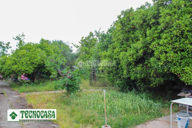 Foto 8240af61-daa0-4aff-b1ed-5bd92d725a56. Masía casa rural en venta en cordoba en Alcolea Córdoba