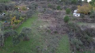 Finca rústica en Santa Rosa - Valdeolleros. Terrenos en venta en cordoba