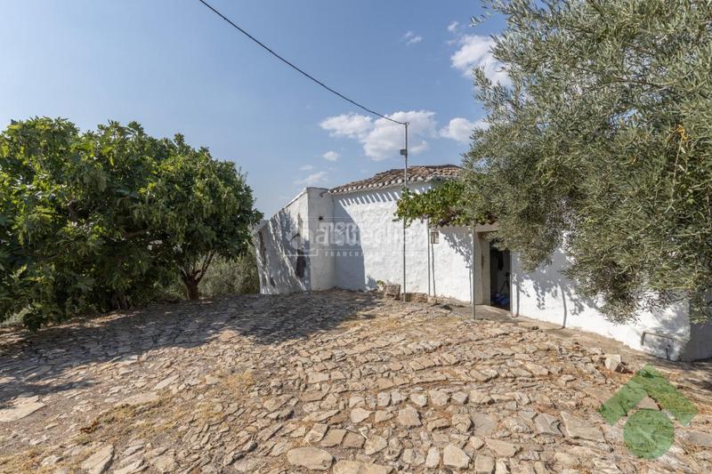 Foto d44fb022-e318-4c7d-905e-14391179d64f. Mas dans Loja