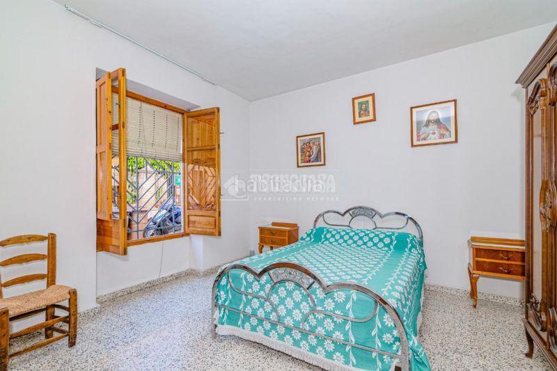 Foto 1bab87f2-8831-417b-b80c-3b0468f3309c. Pis a Loja