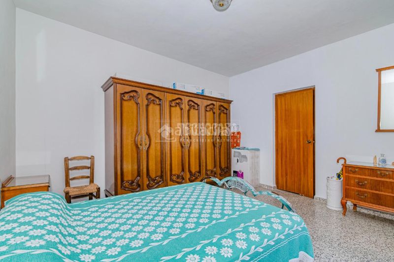 Foto f72f0fc2-abdf-4789-a8ed-c81d0e7a4e7d. Pis a Loja