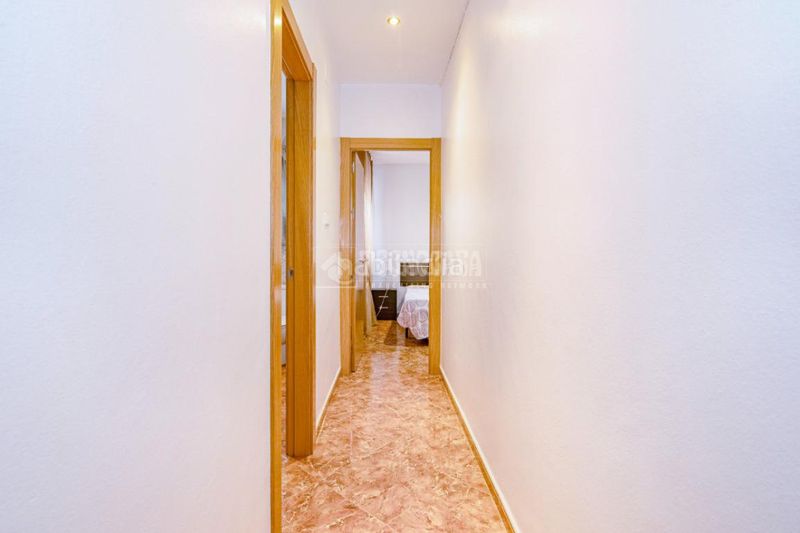 Foto 0a5bce18-9210-415f-80c9-a5d9aa713f97. Pis a Loja