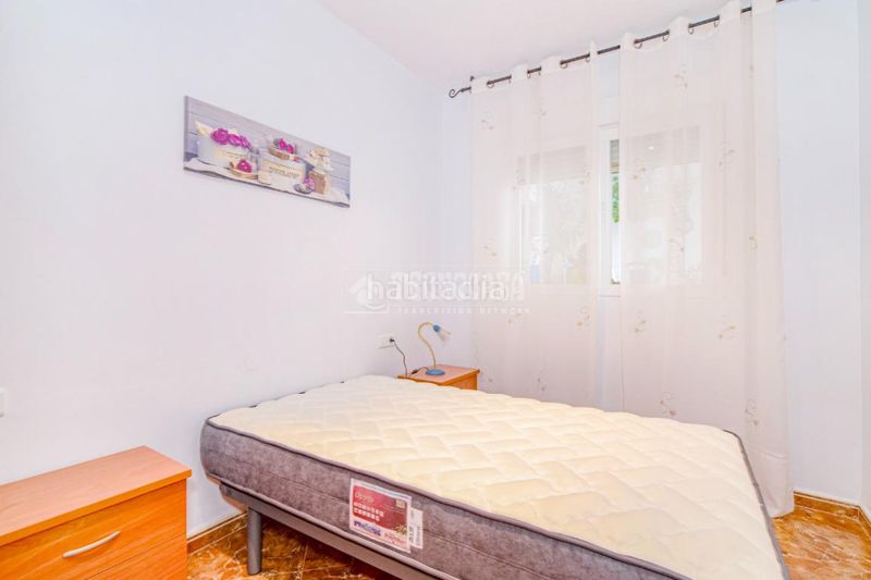 Foto 141c7d5a-0c24-4269-b1de-5a66bb49956c. Pis a Loja