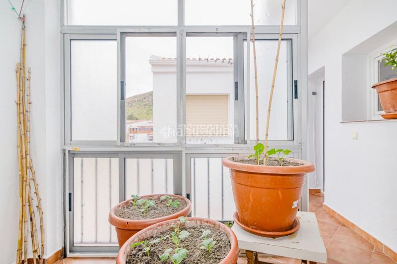 Foto 4a9b26f7-90d1-4ccf-b631-313895b085f5. Pis a Loja