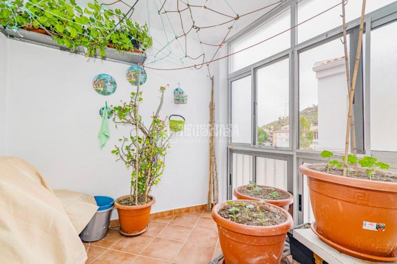 Foto f00ac25f-eb1f-45ed-97b8-28411fb6954a. Pis a Loja