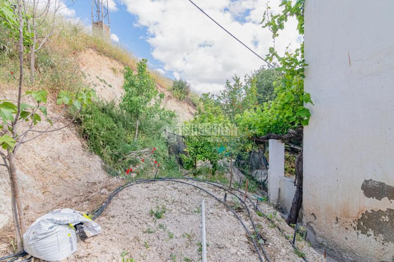 Foto b05dd71a-7e82-41bc-86a1-3d92dc56f1b3. Casa aparellada a Loja