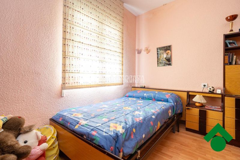 Foto 084fee5b-5820-4bfa-aedd-c698bbb74c7a. Pis a Loja