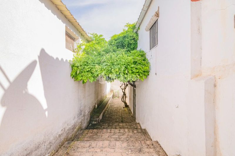 Foto 229aa59a-ca18-4d3b-86eb-09852c8e3ee4. Masia a Loja