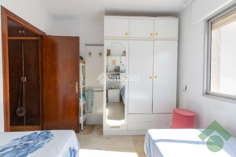 Foto 57ea1bf1-4840-4bfe-891f-ba5bdc9ce674. Pis a Loja