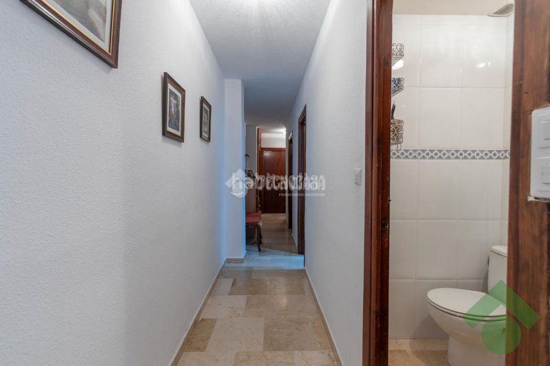 Foto 9f923eed-9aa4-481e-b315-396891407804. Pis a Loja