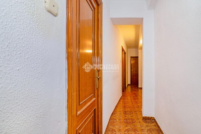 Foto d6cabc66-b84d-4271-b38e-7854e61e8917. Pis a Loja